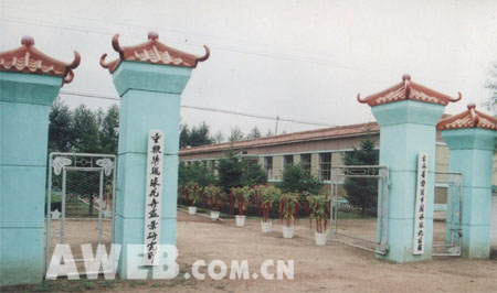苗圃