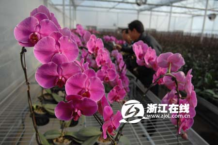 镇江润州都市农业园区 生态·自然·新农村