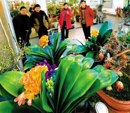 花卉