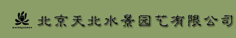 花卉